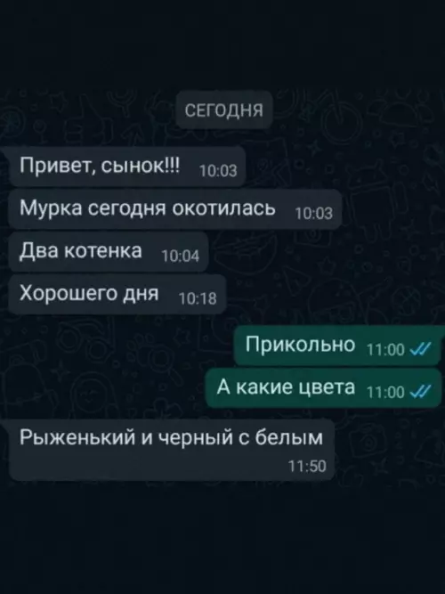 Смешная картинка №641850 Moя мама yмeeт желать xopoшeгo дня...