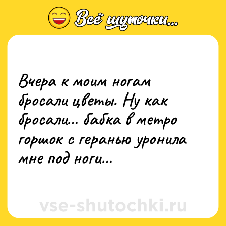 Шутка: Вчера к моим ногам бросали цветы. Ну как бросали… бабка в метро горшок с геранью уронила мне под ноги…