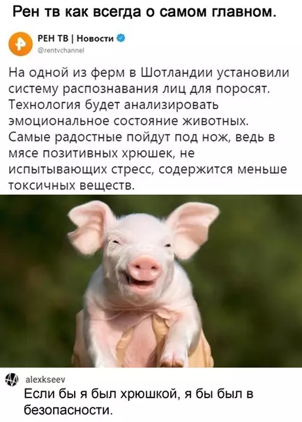 Смешная картинка №538725 Шотландия для грустных!