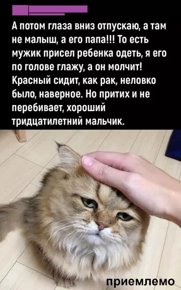 продолжение Смешная картинка №760450 Просто ему тоже надо
