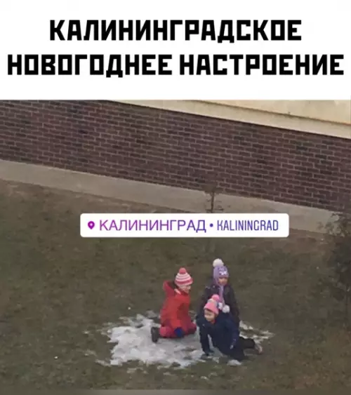 Смешная картинка №546881