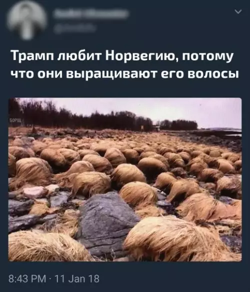 Смешная картинка №240353