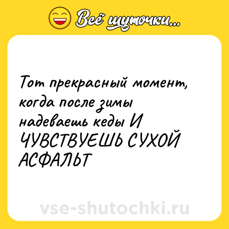 Шутка: Тот прекрасный момент, когда после зимы надеваешь кеды И ЧУВСТВУЕШЬ СУХОЙ АСФАЛЬТ