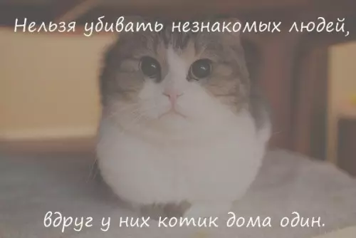 Смешная картинка №379565