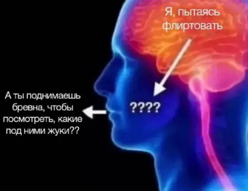 Когда флирт пошел не по плану 🤦‍♂️😂 - Я, пытаясь флиртовать А ты поднимаешь бревна, чтобы посмотреть, какие