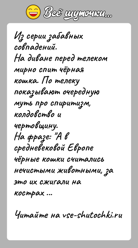 История: Из серии забавных совпадений.На диване перед телеком мирно спит чёрная кошка. По телеку показывают очередную муть про спиритизм, колдовство и