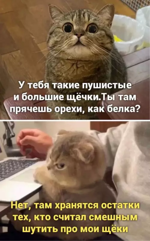 Смешная картинка №655883