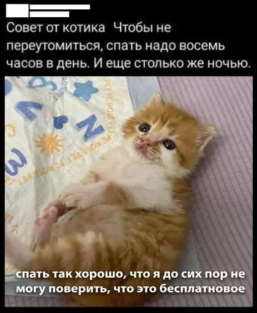 Смешная картинка №750539