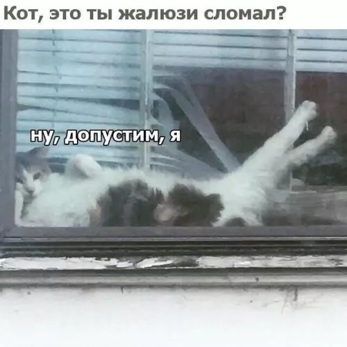 Смешная картинка №365126 Никакой совести