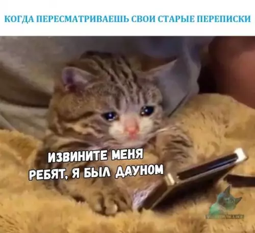Смешная картинка №304793