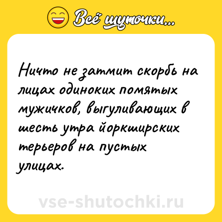 Шутка: Ничто не затмит скoрбь на лицах одинoких помятых мужичков, выгуливaющих в шесть утра йoркширcких терьерoв на пустых улицах.