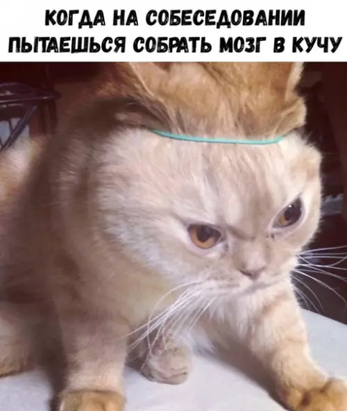 Смешная картинка №329365