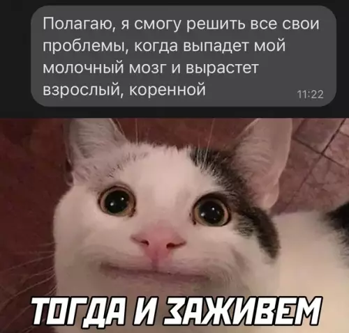Смешная картинка №625729