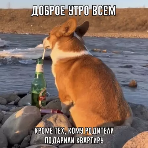 Смешная картинка №743169 Вам не рады