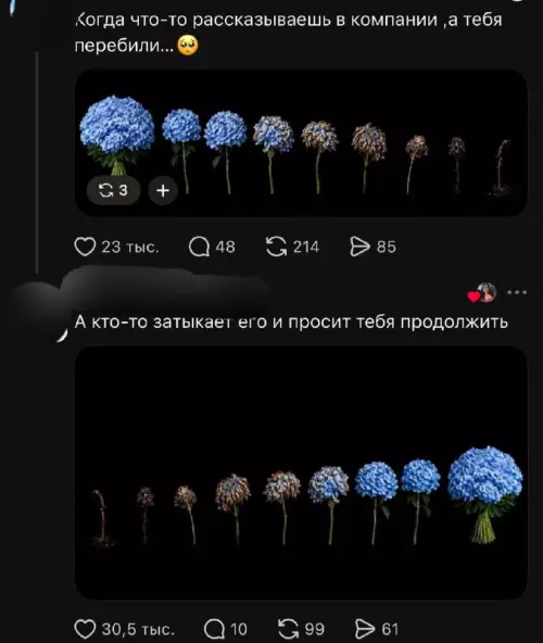 Твоя история или просто шум? 🌸 - Когда что-то рассказываешь в компании, а тебя перебили... А кто-то