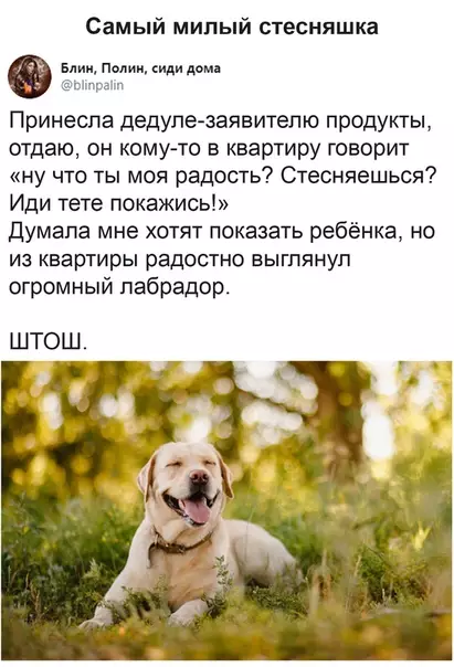 Смешная картинка №490204 Будни волонтёра