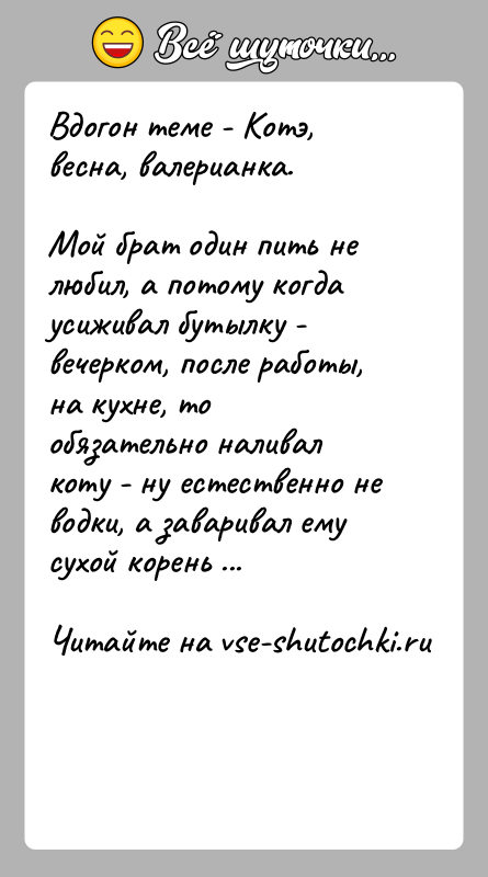 История: Вдогон теме - Котэ, весна, валерианка.Мой брат один пить не любил, а потому когда усиживал бутылку - вечерком, после