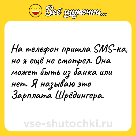 Шутка: На телефон пришла SMS-ка, но я ещё не смотрел. Она может быть из банка или нет. Я называю это Зарплата Шрёдингера.