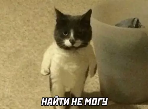 продолжение Смешная картинка №567422