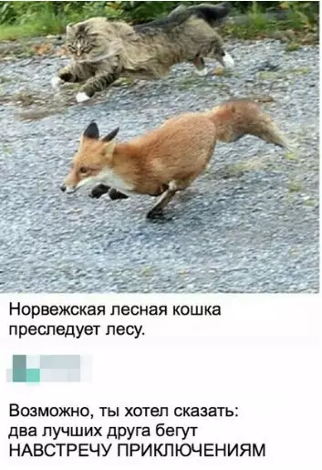 Смешная картинка №250462