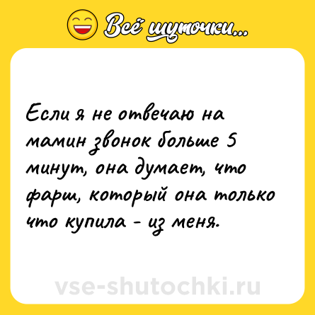 Шутка: Если я не отвечаю на мамин звонок больше 5 минут, она думает, что фарш, который она только что купила - из меня.