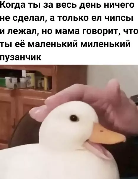 Смешная картинка №497337