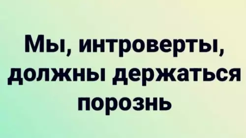 Кодекс интроверта 🤫 - Мы, интроверты, должны держаться порознь