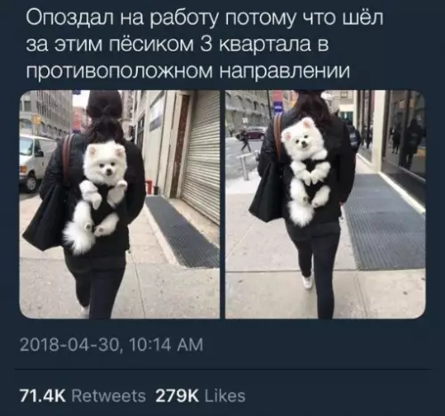 Смешная картинка №271785