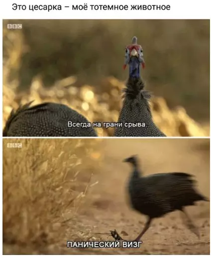 Смешная картинка №265907