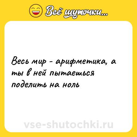 Шутка: Весь мир - арифметика, а ты в ней пытаешься поделить на ноль