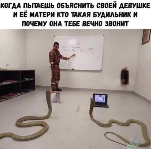 Смешная картинка №321586 женщины, теща