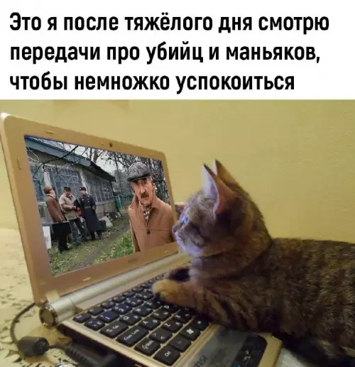 Смешная картинка №700624