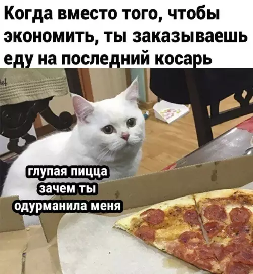 Смешная картинка №624469