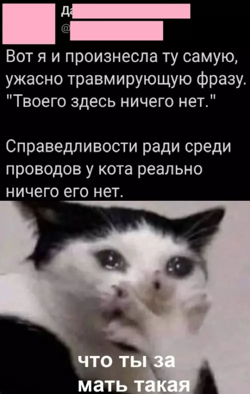 Смешная картинка №792740