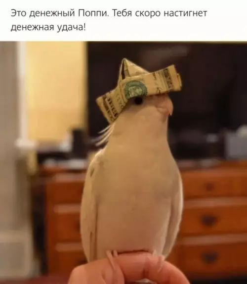 Смешная картинка №509510