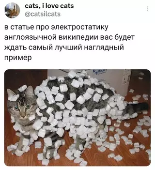 Смешная картинка №715374 Коты