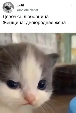 Смешная картинка №657543
