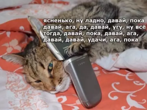Смешная картинка №655693 телефон