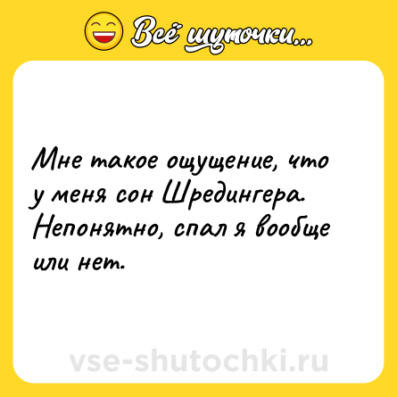 Шутка: Мне такое ощущение, что  у меня сон Шредингера. Непонятно, спал я вообще или нет.