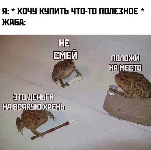 Смешная картинка №672709 Жаба фигни никакой не скажет