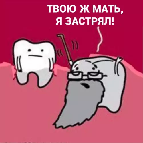 продолжение Смешная картинка №577041 3yбы мyдpocти