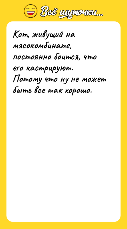 Кот, живущий на мясокомбинате, постоянно боится, что его кастрируют. Потому