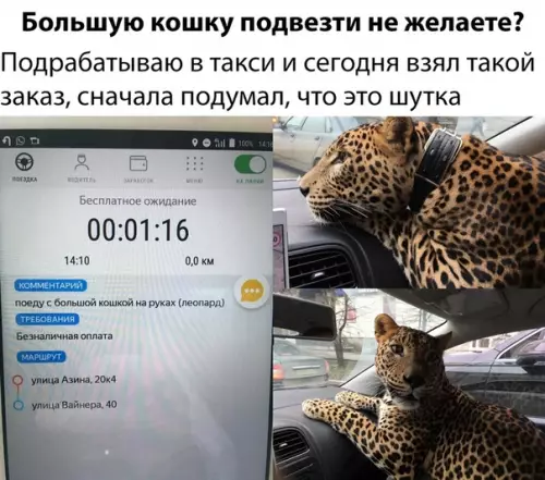 Смешная картинка №312557