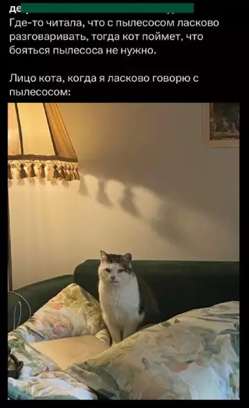 Смешная картинка №785303