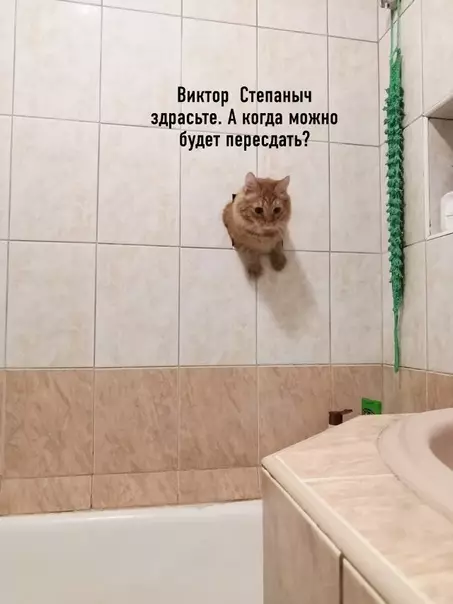 Смешная картинка №572964 Студенты во время сессии