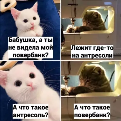 Смешная картинка №645272