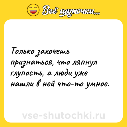 Шутка: Только захочешь признаться, что ляпнул глупость, а люди уже нашли в ней что-то умное.