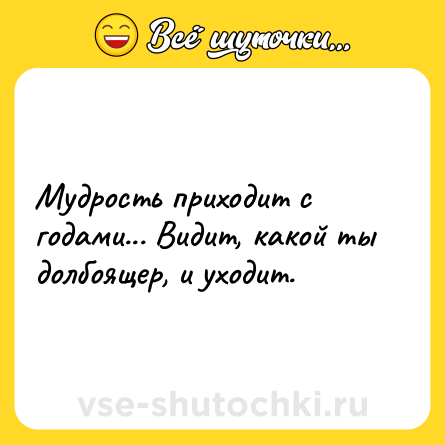 Шутка: Мудрость приходит с годами... Видит, какой ты долбоящер, и уходит.