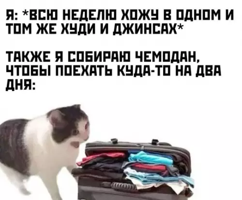 Смешная картинка №772659