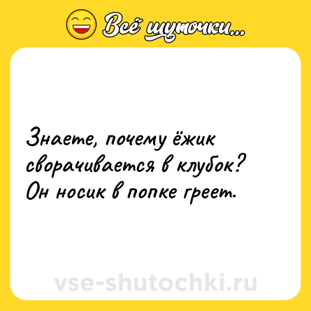 Шутка: Знаете, почему ёжик сворачивается в клубок? Он носик в попке греет.